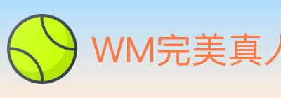 WM完美真人 logo